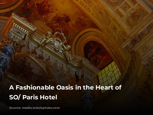 A Fashionable Oasis in the Heart of Paris: SO/ Paris Hotel