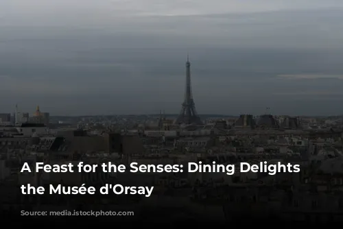 A Feast for the Senses: Dining Delights at the Musée d'Orsay