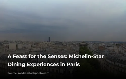 A Feast for the Senses: Michelin-Star Worthy Dining Experiences in Paris