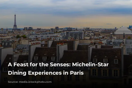 A Feast for the Senses: Michelin-Star Worthy Dining Experiences in Paris