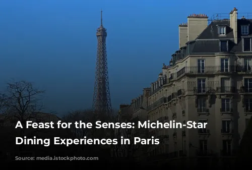 A Feast for the Senses: Michelin-Star Worthy Dining Experiences in Paris