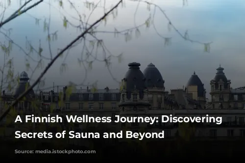 A Finnish Wellness Journey: Discovering the Secrets of Sauna and Beyond