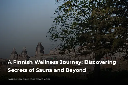 A Finnish Wellness Journey: Discovering the Secrets of Sauna and Beyond