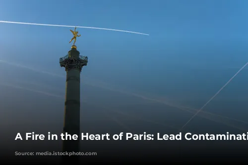 A Fire in the Heart of Paris: Lead Contamination Concerns