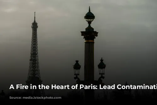 A Fire in the Heart of Paris: Lead Contamination Concerns