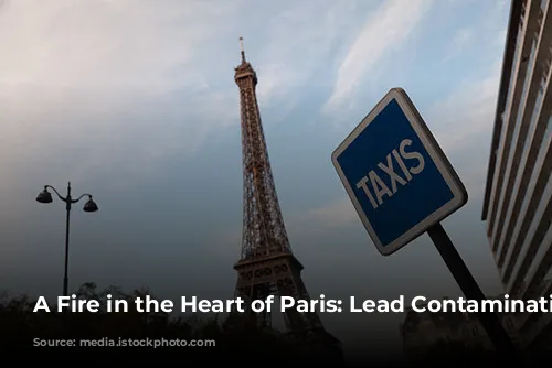 A Fire in the Heart of Paris: Lead Contamination Concerns