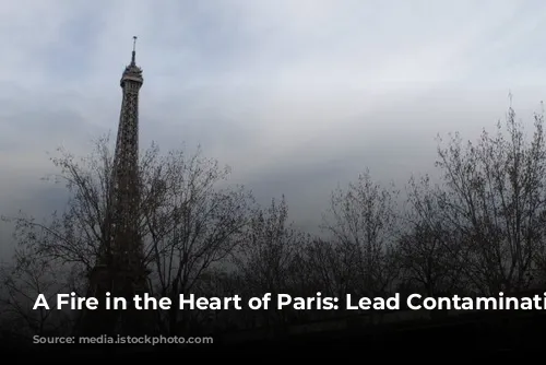 A Fire in the Heart of Paris: Lead Contamination Concerns