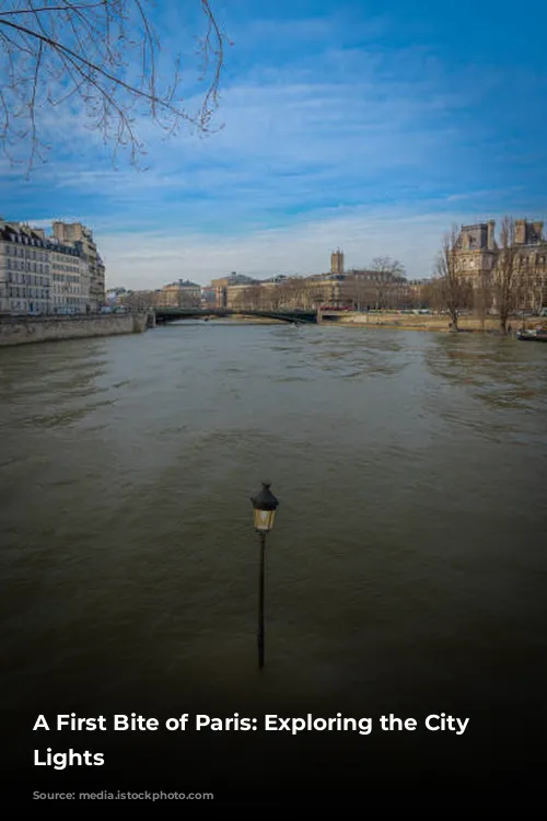 A First Bite of Paris: Exploring the City of Lights