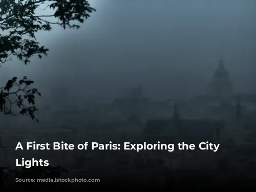 A First Bite of Paris: Exploring the City of Lights