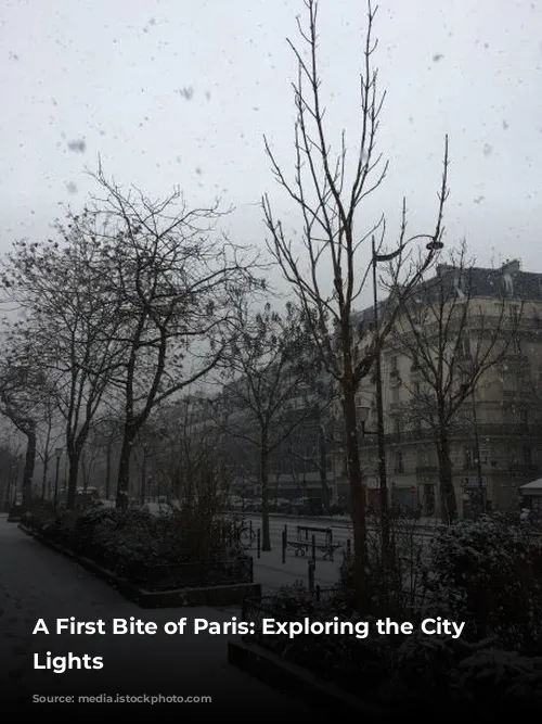 A First Bite of Paris: Exploring the City of Lights