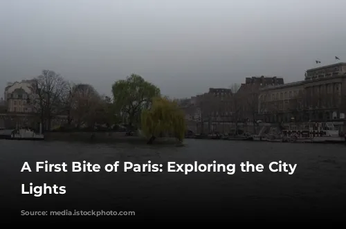 A First Bite of Paris: Exploring the City of Lights