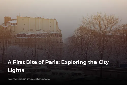 A First Bite of Paris: Exploring the City of Lights