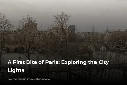 A First Bite of Paris: Exploring the City of Lights