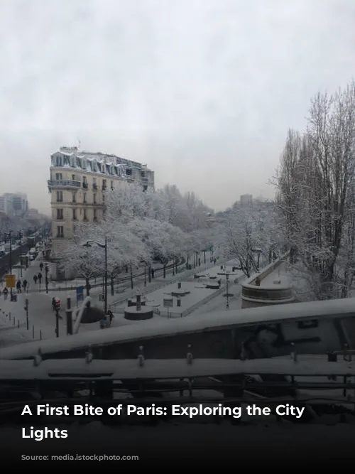 A First Bite of Paris: Exploring the City of Lights