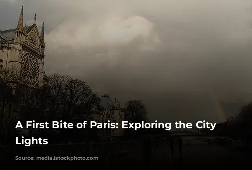 A First Bite of Paris: Exploring the City of Lights