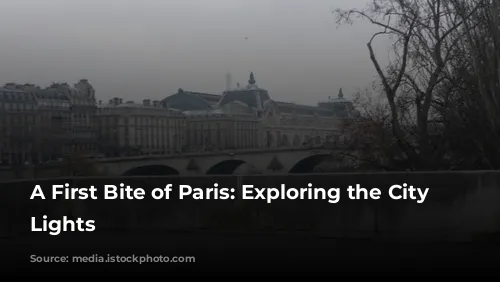 A First Bite of Paris: Exploring the City of Lights