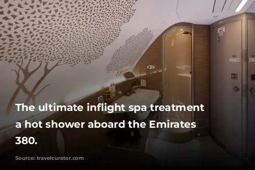 The ultimate inflight spa treatment -- a hot shower aboard the Emirates Airbus 380. 