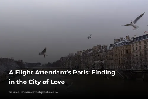 A Flight Attendant’s Paris: Finding Solace in the City of Love