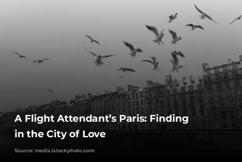 A Flight Attendant’s Paris: Finding Solace in the City of Love