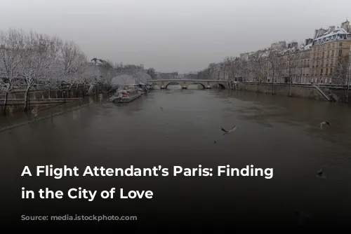 A Flight Attendant’s Paris: Finding Solace in the City of Love