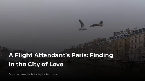 A Flight Attendant’s Paris: Finding Solace in the City of Love