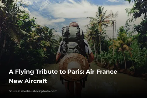 A Flying Tribute to Paris: Air France Unveils New Aircraft