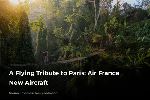 A Flying Tribute to Paris: Air France Unveils New Aircraft