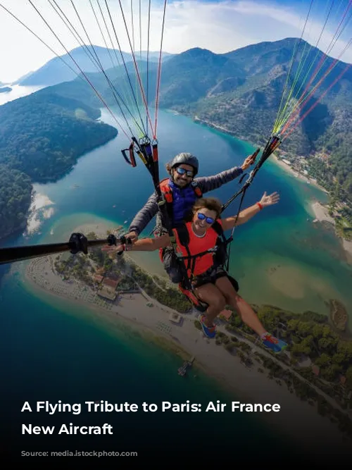 A Flying Tribute to Paris: Air France Unveils New Aircraft