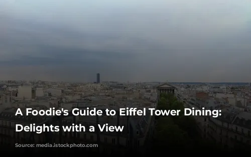 A Foodie's Guide to Eiffel Tower Dining: Culinary Delights with a View