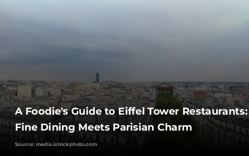 A Foodie's Guide to Eiffel Tower Restaurants: Where Fine Dining Meets Parisian Charm