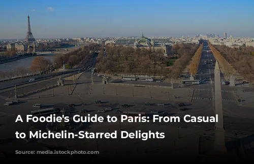 A Foodie's Guide to Paris: From Casual Bistros to Michelin-Starred Delights