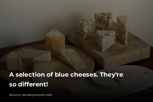 A selection of blue cheeses. They're all so different!