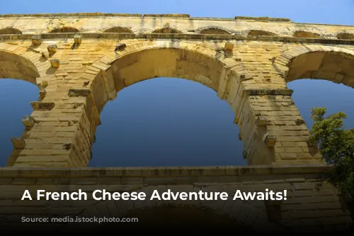 A French Cheese Adventure Awaits!