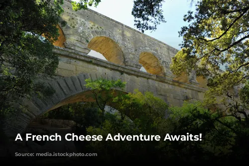 A French Cheese Adventure Awaits!