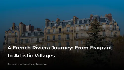 A French Riviera Journey: From Fragrant Gardens to Artistic Villages