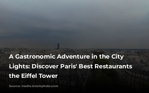 A Gastronomic Adventure in the City of Lights:  Discover Paris' Best Restaurants near the Eiffel Tower