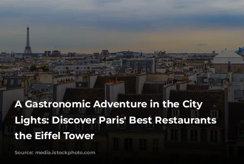 A Gastronomic Adventure in the City of Lights:  Discover Paris' Best Restaurants near the Eiffel Tower