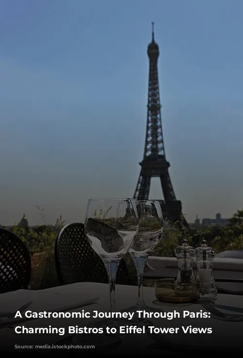 A Gastronomic Journey Through Paris: From Charming Bistros to Eiffel Tower Views