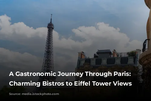 A Gastronomic Journey Through Paris: From Charming Bistros to Eiffel Tower Views