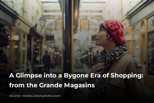 A Glimpse into a Bygone Era of Shopping: Lessons from the Grande Magasins