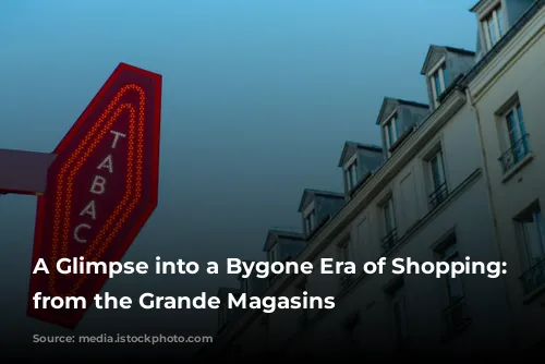 A Glimpse into a Bygone Era of Shopping: Lessons from the Grande Magasins