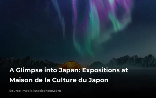 A Glimpse into Japan: Expositions at the Maison de la Culture du Japon