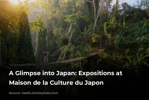 A Glimpse into Japan: Expositions at the Maison de la Culture du Japon