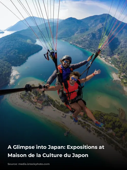 A Glimpse into Japan: Expositions at the Maison de la Culture du Japon