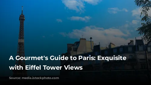 A Gourmet's Guide to Paris: Exquisite Dining with Eiffel Tower Views