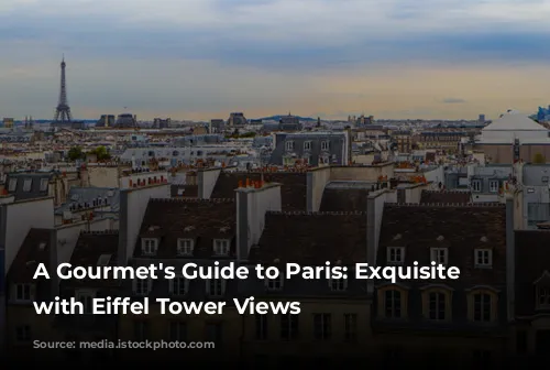 A Gourmet's Guide to Paris: Exquisite Dining with Eiffel Tower Views