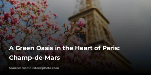 A Green Oasis in the Heart of Paris: The Champ-de-Mars