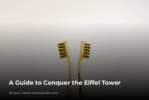 A Guide to Conquer the Eiffel Tower