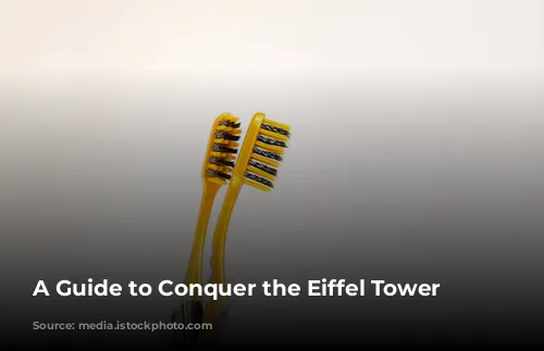 A Guide to Conquer the Eiffel Tower