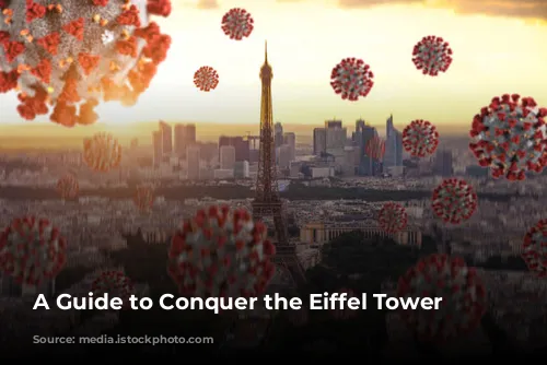 A Guide to Conquer the Eiffel Tower